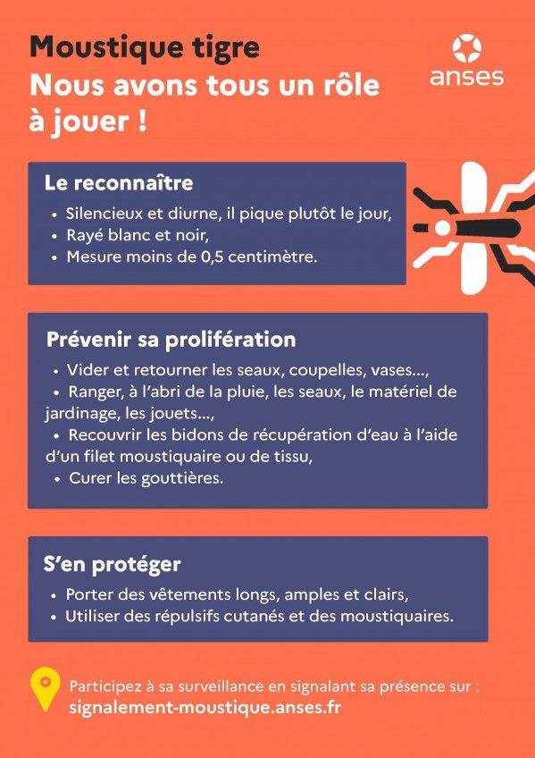Infographie_moustique