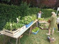 IMG_20220522_115401