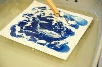 Atelier_cyanotype_photo