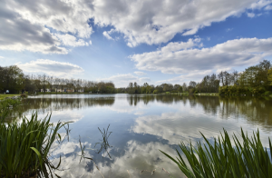 Etang