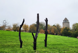 Nos Arbres Brûlent